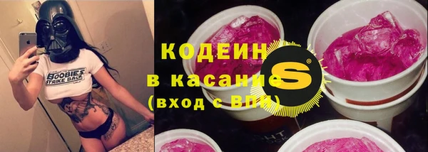 индика Алзамай