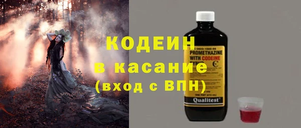 индика Алзамай